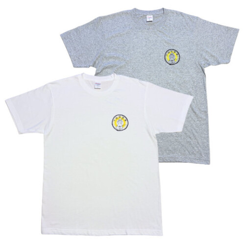 TS01