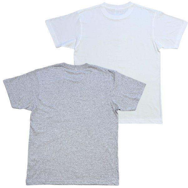 TS01